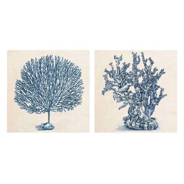 Print on canvas - Sea Corals Study Set I