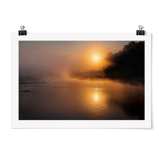 Poster - Sunrise on the lake with deers in the fog