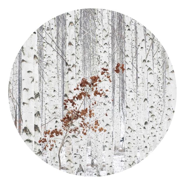 Self-adhesive round wallpaper - Birch Trees In Autumn