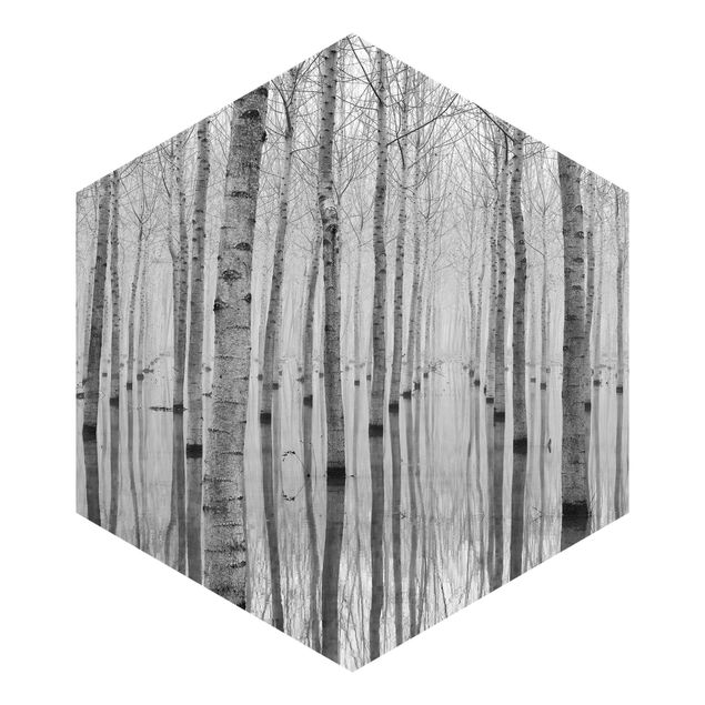 Self-adhesive hexagonal pattern wallpaper - Birches In November