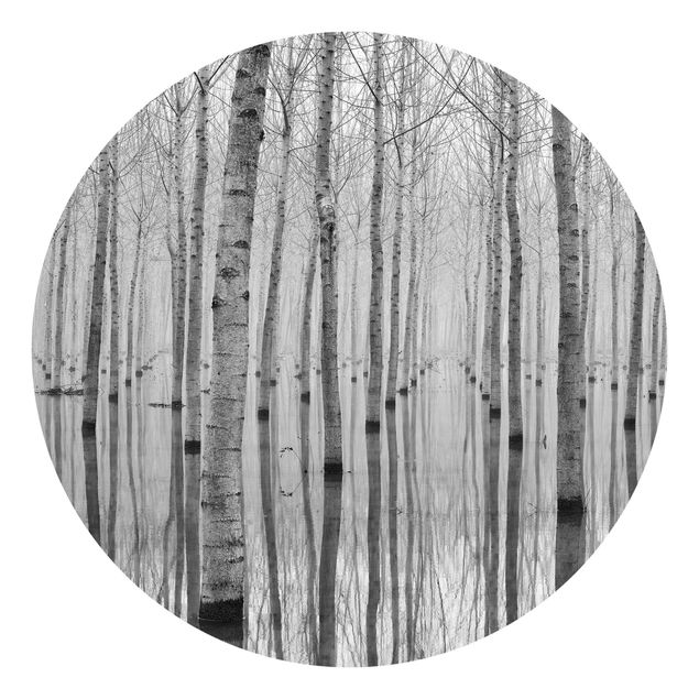 Self-adhesive round wallpaper forest - Birches In November