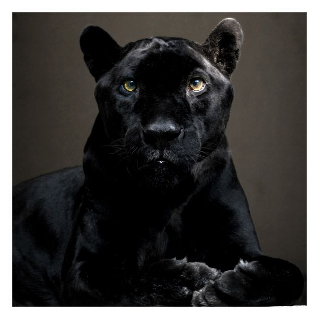 Wallpaper - Black Puma