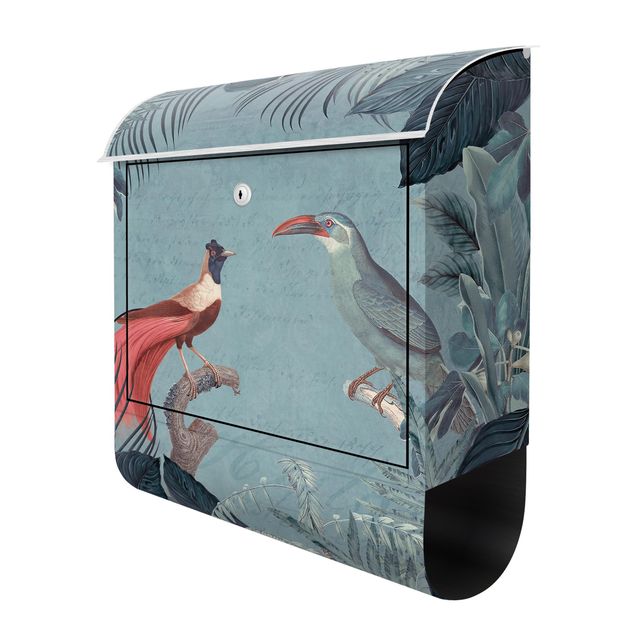 Letterbox - Blue Gray Paradise With Tropical Birds