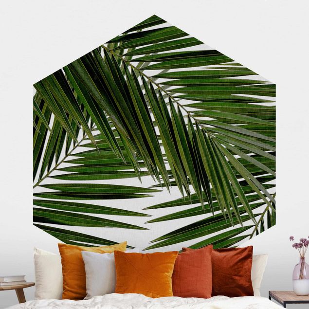 Hexagonal wall mural View Through Green Palm Leaves