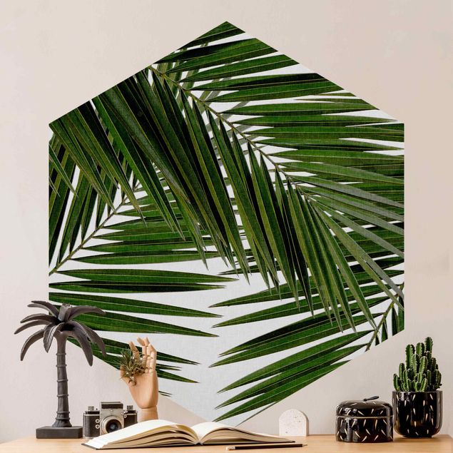 Wallpapers View Through Green Palm Leaves