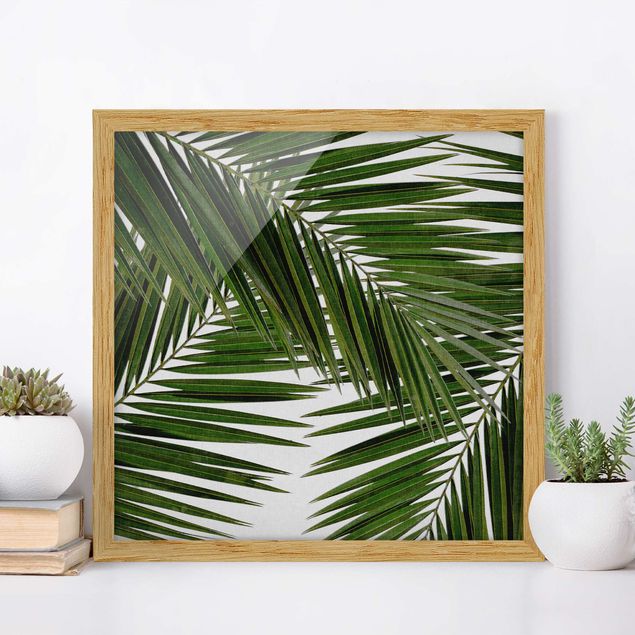 Framed poster - View Through Green Palm Leaves