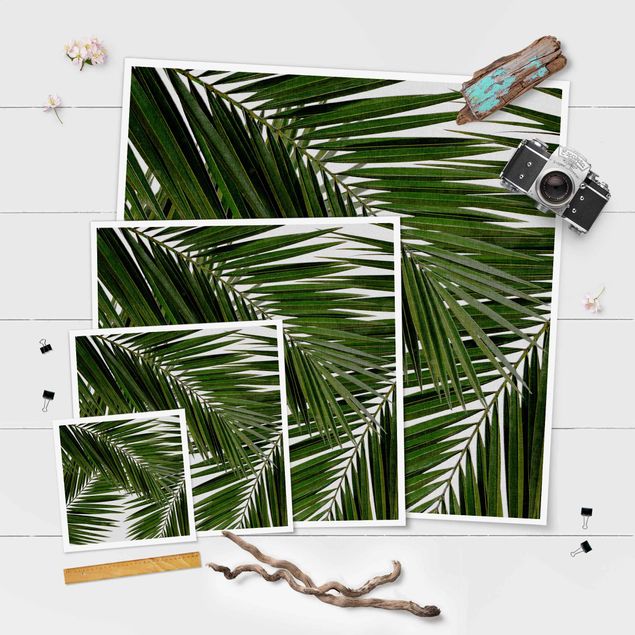 Poster - View Through Green Palm Leaves