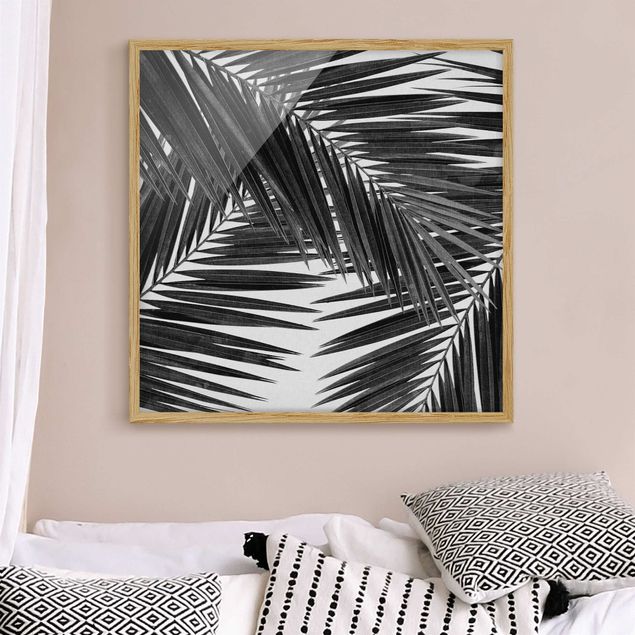 Framed poster - View Through Palm Leaves Black And White