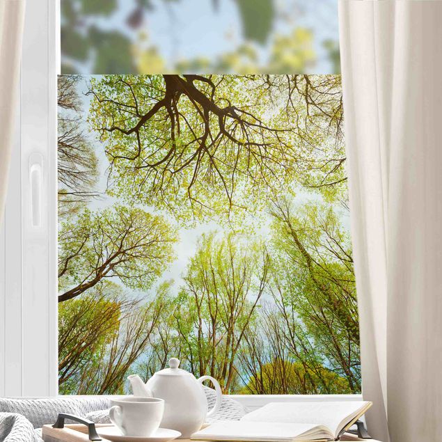 Window decoration - Glance Upon Treetops