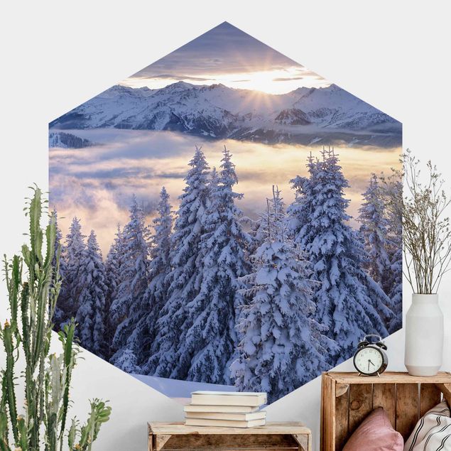 Hexagonal wall mural View Of The Hohe Tauern From Kreuzkogel Austria
