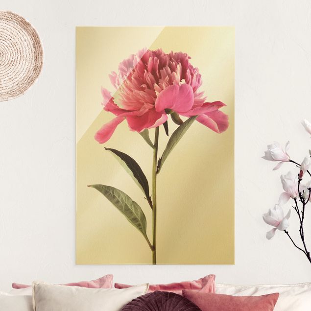 Glas Magnetboard Blooming Peony Pink On White