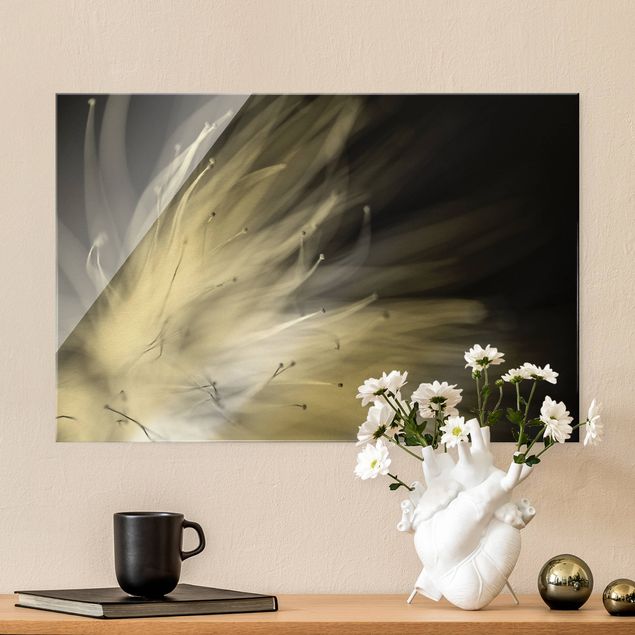 Glass print - Pollen Black And White - Landscape format