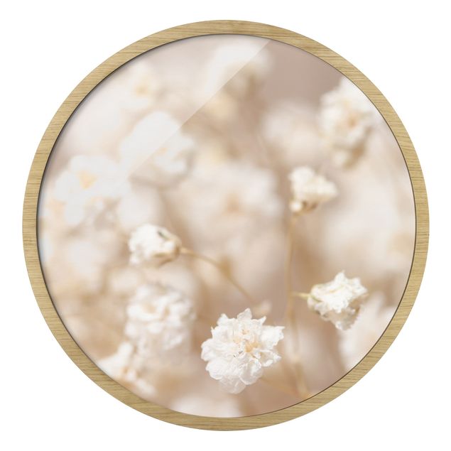 Circular framed print - Beautiful Flowers In Cream Colour
