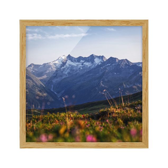 Framed poster - Flowering Meadow In The Mountains