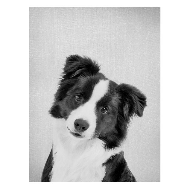 Canvas print - Border Collie Benni Black And White - Portrait format 3:4