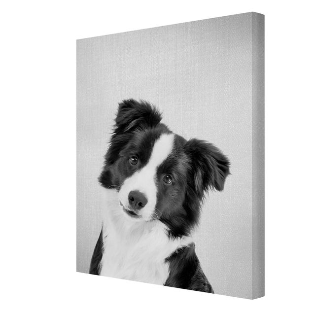 Canvas print - Border Collie Benni Black And White - Portrait format 3:4