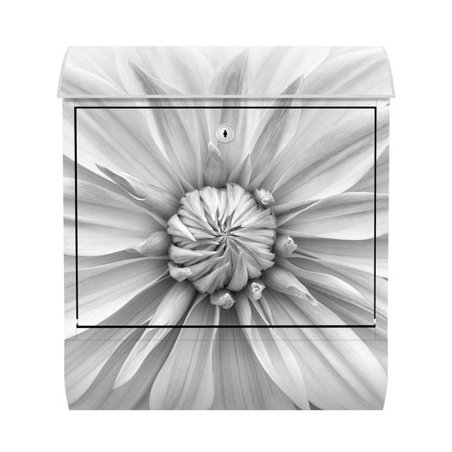 Letterbox - Botanical Blossom In White