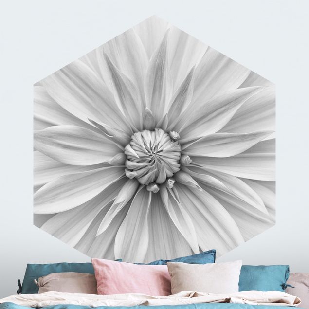 Wallpapers Botanical Blossom In White