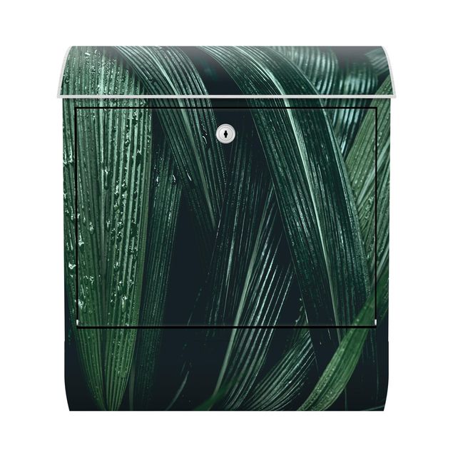 Letterbox - Green Palm Leaves