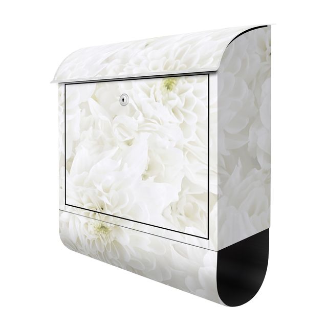 Letterbox - Dahlias Sea Of Flowers White