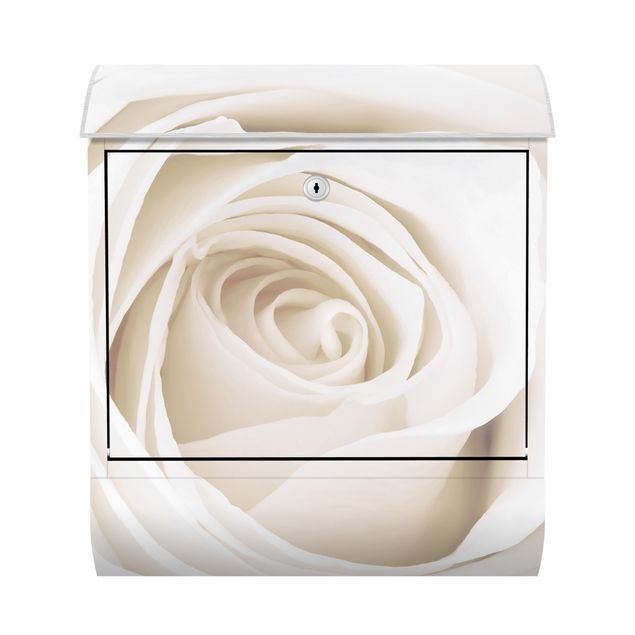 Letterbox - Pretty White Rose
