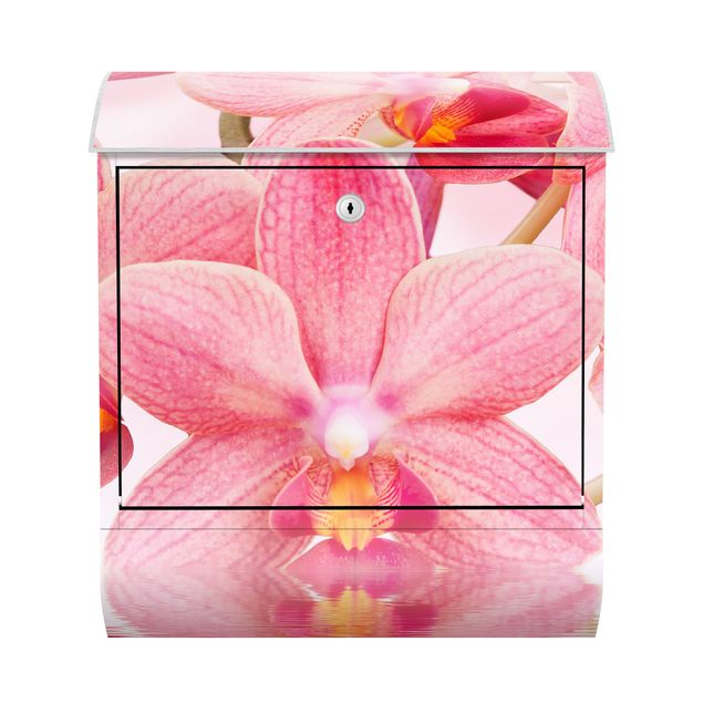 Letterbox - Light Pink Orchid On Water
