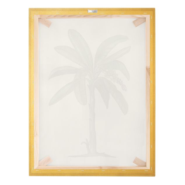 Print on canvas - British Palms II