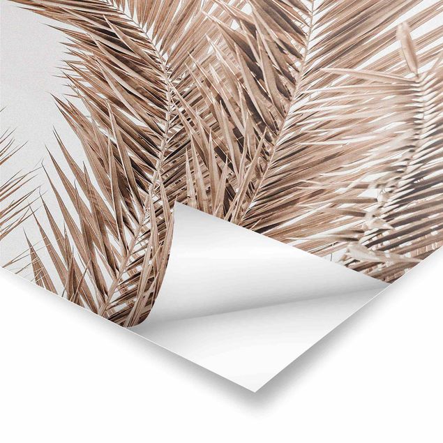 Poster - Bronze Coloured Palm Fronds