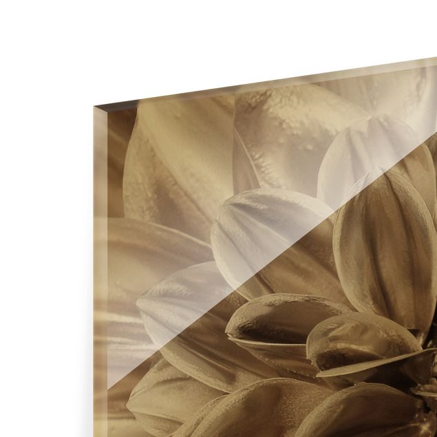 Glass print - Bronze Dahlias Dream