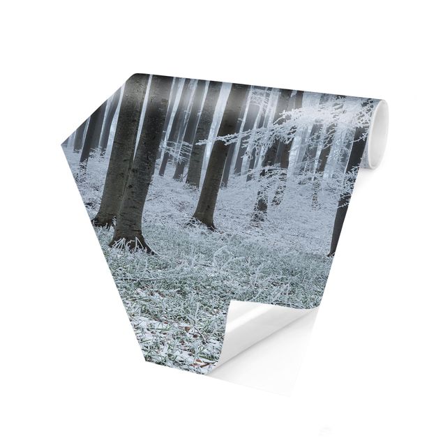 Self-adhesive hexagonal pattern wallpaper - Beeches With Hoarfrost