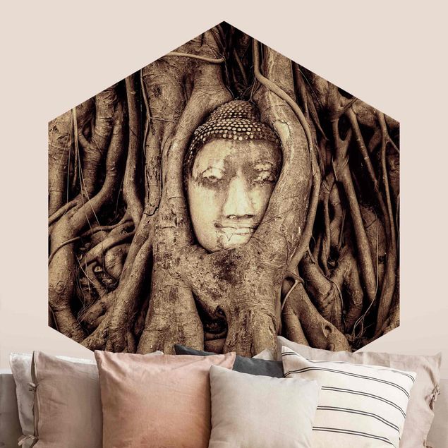 Wallpapers Buddha In Ayutthaya Lined With Tree Roots In Brown