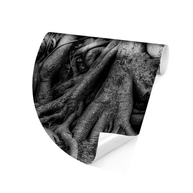 Self-adhesive round wallpaper - Buddha In Ayutthaya Lined From Tree Roots In Black And White