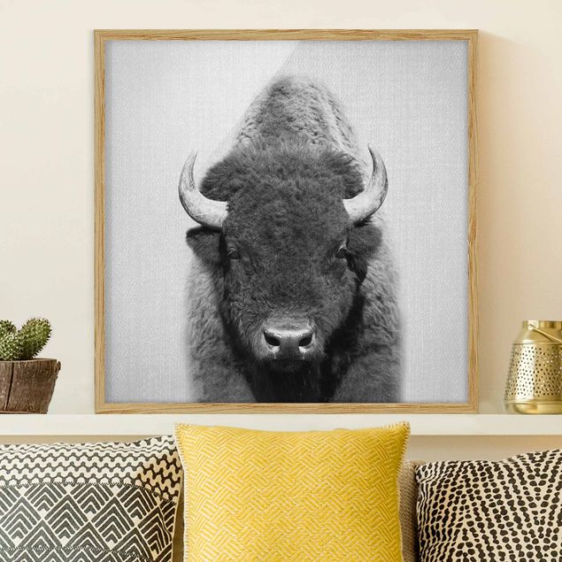 Framed poster - Buffalo Bertram Black And White