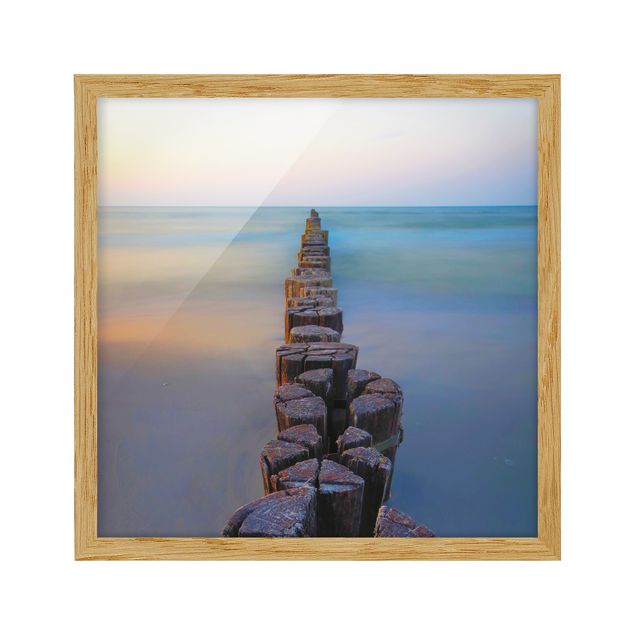 Framed poster - Groynes At Sunset At The Ocean