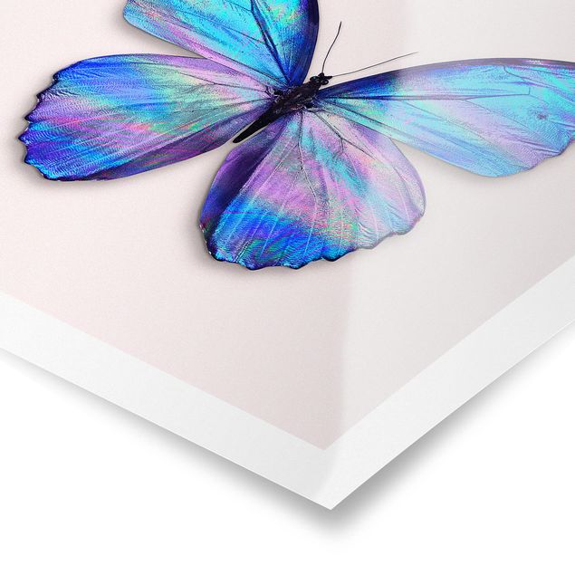 Poster - Holographic Butterfly