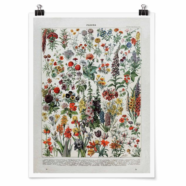 Poster - Vintage Board Flowers IV