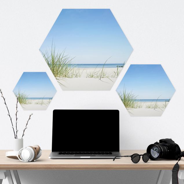 Forex hexagon - Baltic Sea Coast