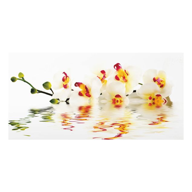 Splashback - Vivid Orchid Waters