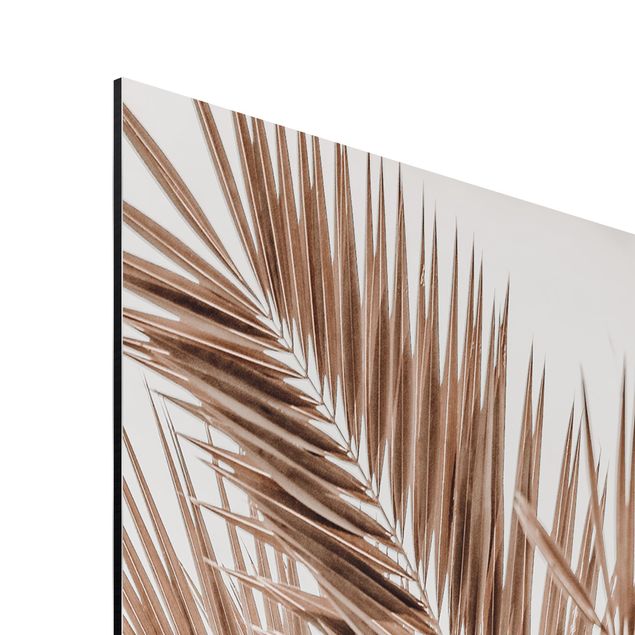 Print on aluminium - Bronze Coloured Palm Fronds