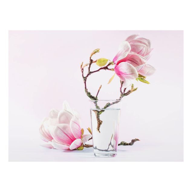 Glass Splashback - Magnolia in glass - Landscape 3:4