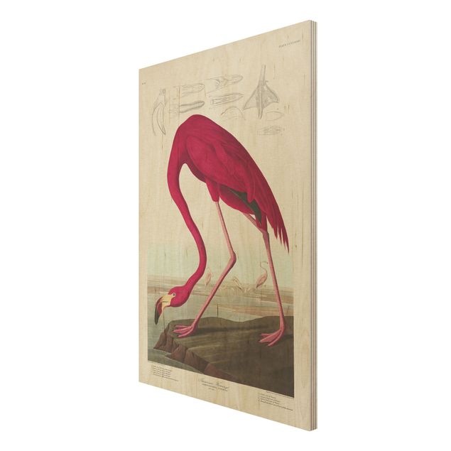Print on wood - Vintage Board American Flamingo