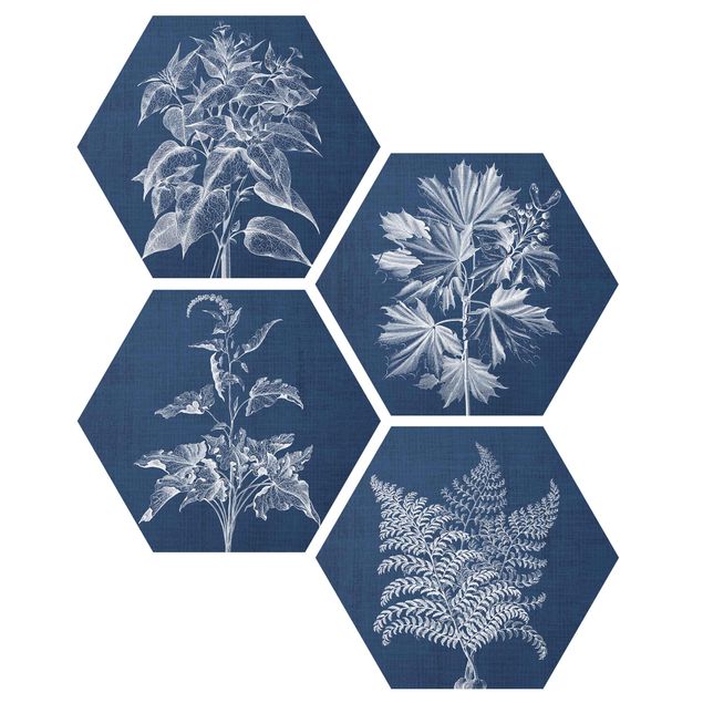 Forex hexagon - Denim Plant Study Set II