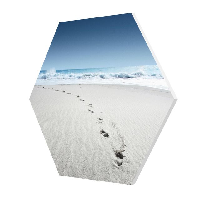 Forex hexagon - Traces In The Sand