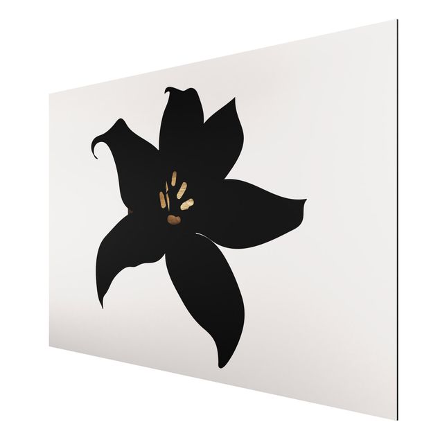 Alu-Dibond print flowers - Graphical Plant World - Orchid Black And Gold