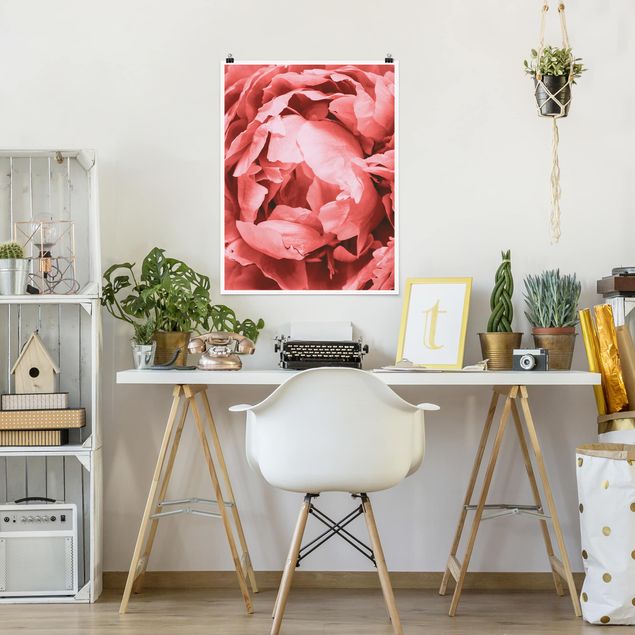 Poster - Peony Blossom Coral