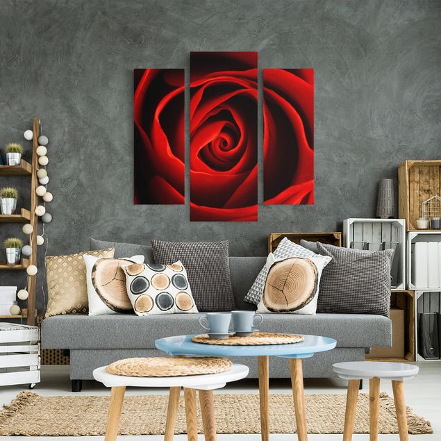 Print on canvas 3 parts - Lovely Rose