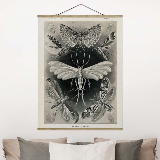 Fabric print with poster hangers - Vintage Board Moths And Butterflies