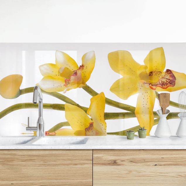 Splashback flower Saffron Orchid Waters