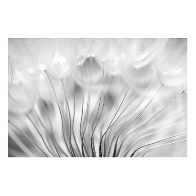 Magnetic memo board - Beautiful Dandelion Black And White