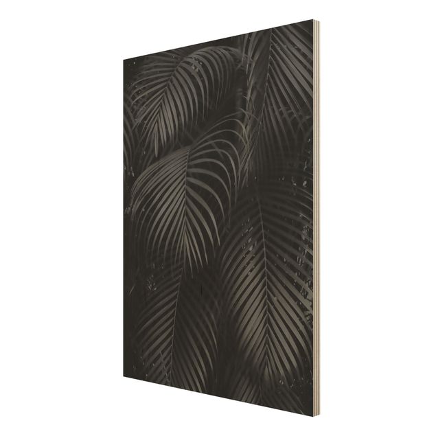 Print on wood - Black Palm Fronds